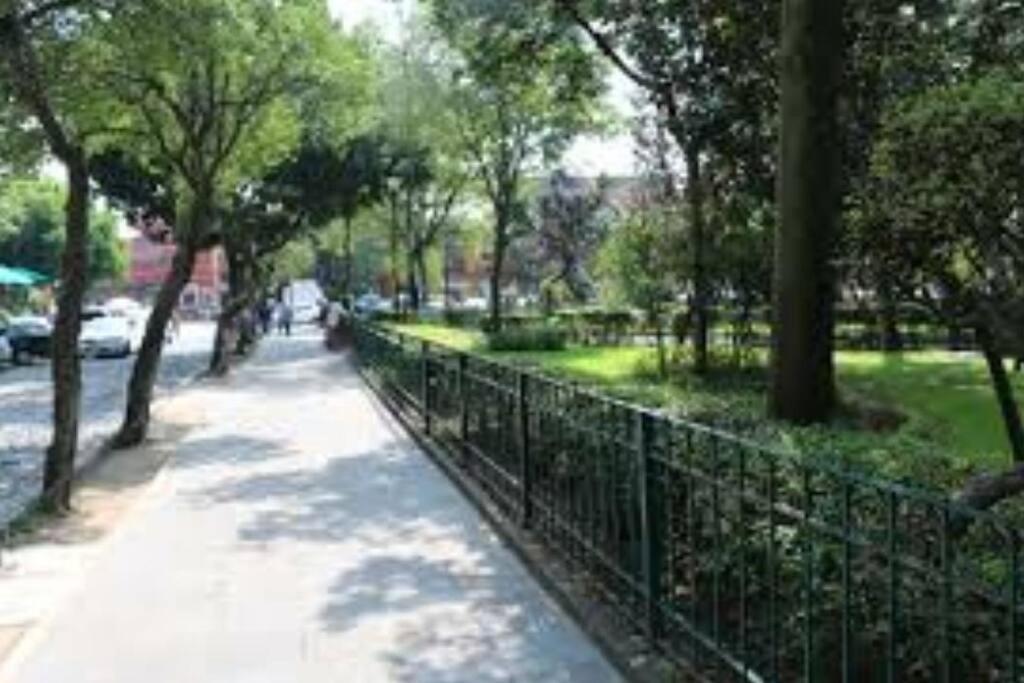 멕시코 시 Departamento Completo En El Centro De Cdmx 아파트 외부 사진